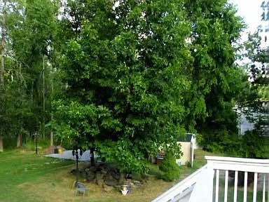 47 Interlochen Pkwy, Monroe, NY 10950 image 4